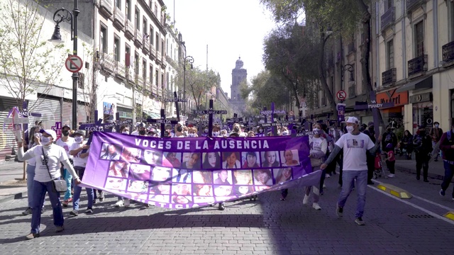 Video Reference: Building, Purple, Sky, Tree, City, Road, Event, Crowd, Street, Pedestrian