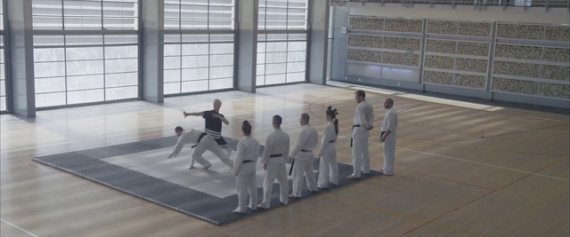 Video Reference: Martial arts uniform, Dobok, Martial arts, Japanese martial arts, Karate, Combat sport, Contact sport, Kung fu, Competition event, Sports