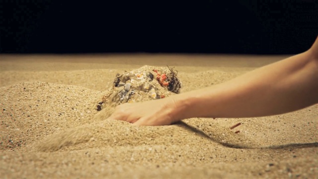 Video Reference: Leg, Wood, Beach, Landscape, Sand, Foot, Human leg, Nail, Soil, Toe