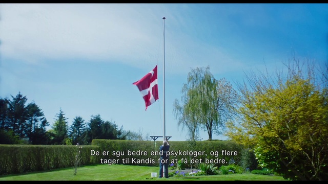 Video Reference: Sky, Flag, Natural environment, Plant, Natural landscape, Cloud, Land lot, Tree, Vegetation, Grass