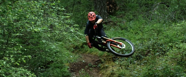 Video Reference: Bicycle, Plant, Bicycles--Equipment and supplies, Wheel, Sports equipment, Tire, Bicycle wheel, Bicycle frame, Plant community, Tree