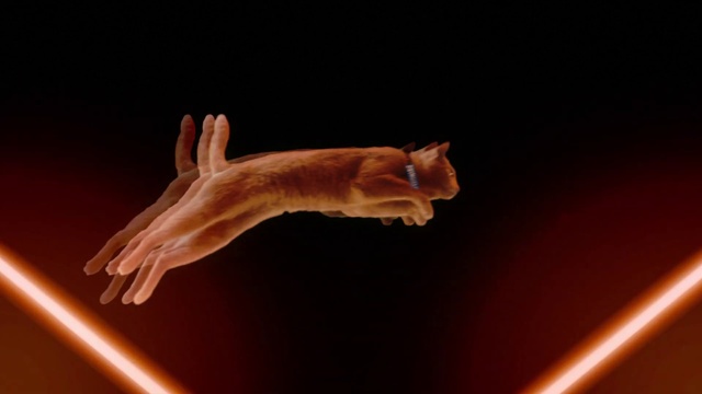 Video Reference: Arm, Human body, Gesture, Elbow, Fawn, Wood, Event, Art, Tail, Darkness