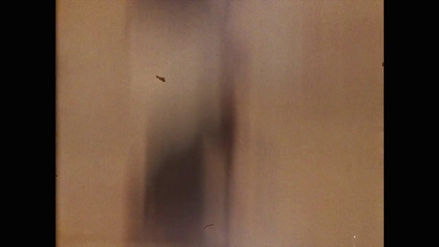 Video Reference: Wood, Rectangle, Tints and shades, Font, Tree, Art, Hardwood, Visual arts, Plaster, Room