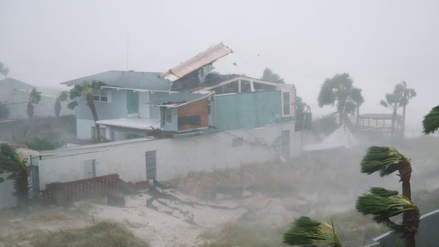 Video Reference: Sky, Building, Window, House, Tree, Fog, Water, Atmospheric phenomenon, Plant, Gas