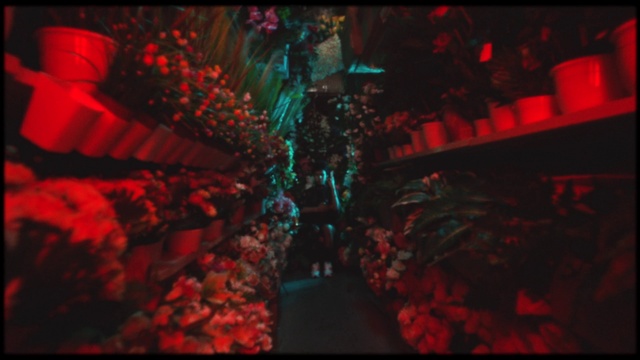 Video Reference: Entertainment, Magenta, Art, Event, Darkness, Glass, Font, Electric blue, Display device, Pattern