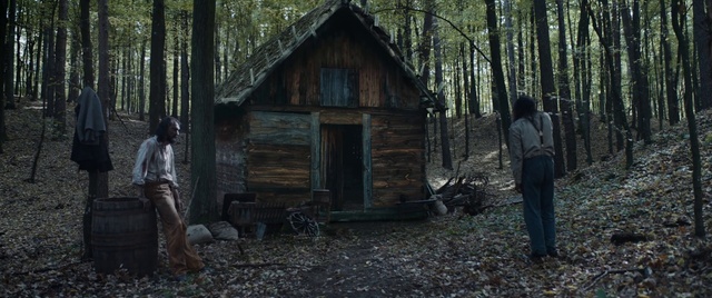 Video Reference: Plant, Ecoregion, Wood, Tree, House, Natural landscape, Trunk, Biome, Window, Adaptation