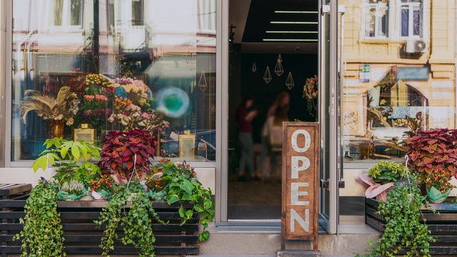 Video Reference: Plant, Building, Property, Flowerpot, Window, Orange, Architecture, Neighbourhood, Houseplant, Public space
