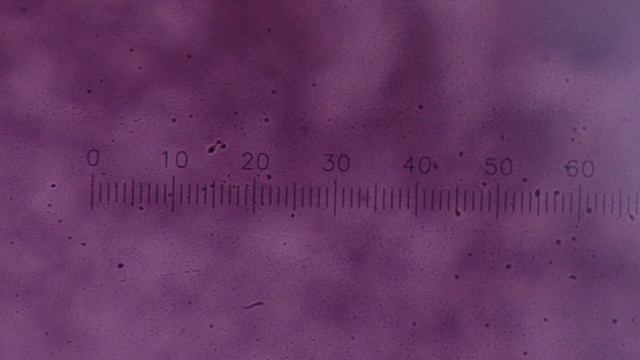 Video Reference: Purple, Violet, Font, Tints and shades, Magenta, Pattern, Rectangle, Circle, Electric blue, Symmetry