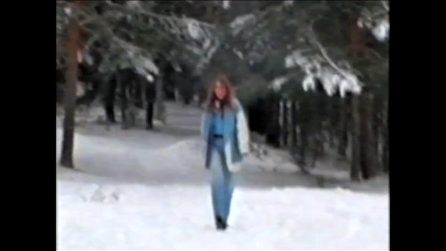 Video Reference: snow, forest, person, winter, outdoors, trees, standing, cold, landscape, blurred, low_resolution