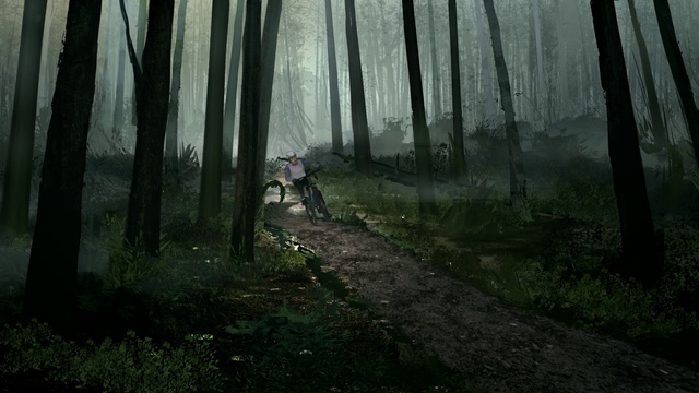 Video Reference: Plant, Plant community, Natural landscape, Tree, People in nature, Wood, Fog, Terrestrial plant, Biome, Grass