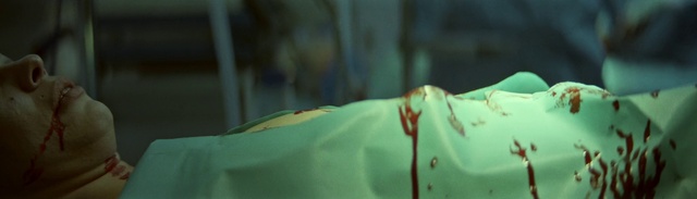 Video Reference: Wood, Grass, Tints and shades, Petal, Electric blue, Macro photography, Landscape, Art, Forest, Plant stem