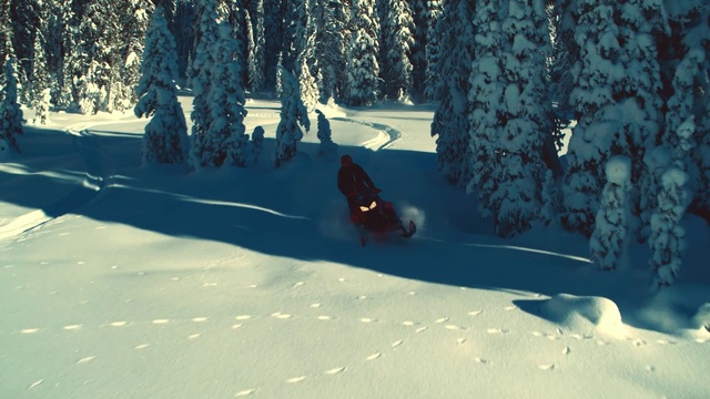 Video Reference: Snow, World, Slope, Tree, Biome, Glacial landform, Terrain, Freezing, Evergreen, Landscape