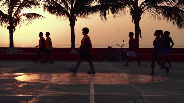 Video Reference: Sky, Light, People on beach, Black, Tree, Wheel, Plant, Dusk, Tire, Sunlight