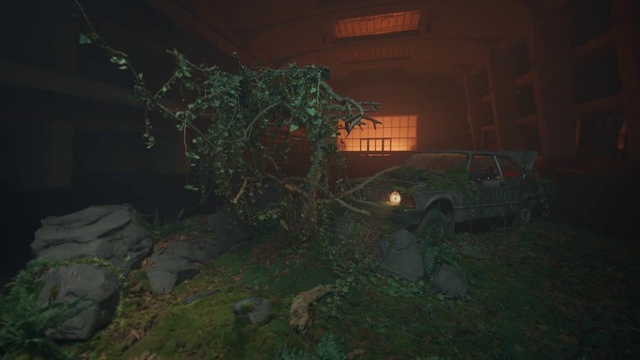 Video Reference: Tire, Plant, Wheel, Window, Tints and shades, Automotive lighting, Grass, Midnight, Terrestrial plant, Landscape