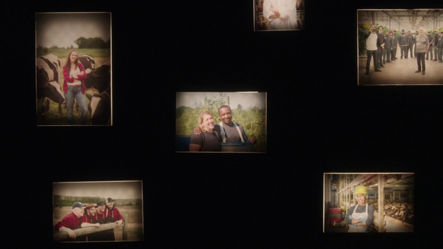 Video Reference: Picture frame, Black, Human, Art, Wall, Beauty, Plant, Snapshot, Event, Darkness