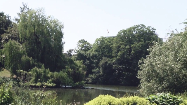 Video Reference: Water, Sky, Plant, Natural landscape, Tree, Lacustrine plain, Lake, Fluvial landforms of streams, Landscape, Forest