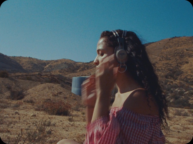 Video Reference: Sky, Hand, Daytime, Ecoregion, Vision care, Eyewear, Leaf, Natural environment, Flash photography, Automotive mirror