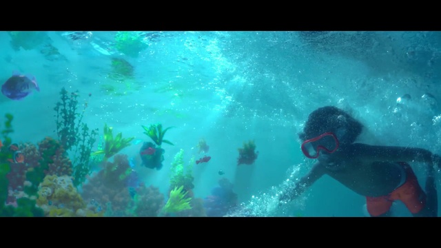 Video Reference: Water, Underwater diving, Green, Underwater, Diving equipment, Fluid, Divemaster, Scuba diving, Aqua, Underwater sports