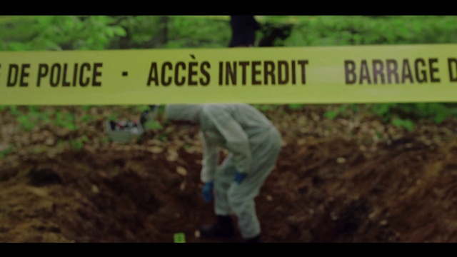 Video Reference: Product, People in nature, Plant, Font, Grass, Groundcover, Landscape, Grass family, Rectangle, Agriculture