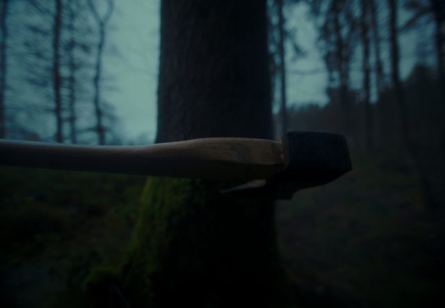 Video Reference: Plant, Sky, Tree, Wood, Tints and shades, Terrestrial plant, Door, Grass, Trunk, Landscape