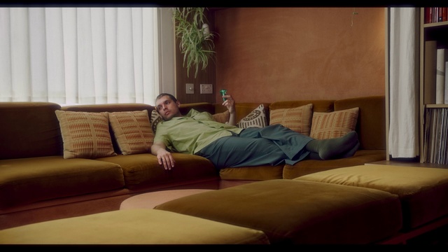 Video Reference: Furniture, Plant, Comfort, Leg, Couch, Wood, Textile, Interior design, Living room, Floor