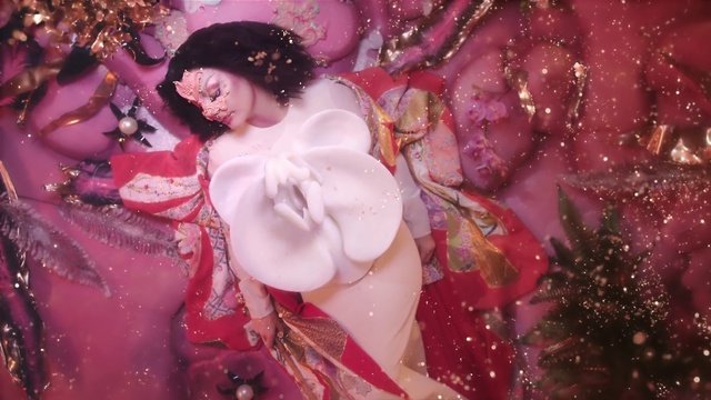 Video Reference: Plant, Petal, Textile, Organism, Pink, Tree, Cg artwork, Christmas ornament, Magenta, Event