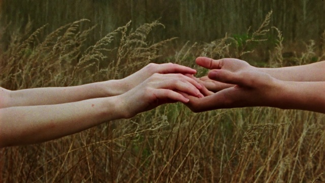 Video Reference: Plant, People in nature, Gesture, Finger, Grass, Thumb, Agriculture, Nail, Wrist, Grassland