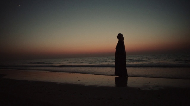 Video Reference: Water, Sky, People in nature, Beach, Gesture, Cloud, Flash photography, Afterglow, Sunset, Sunrise