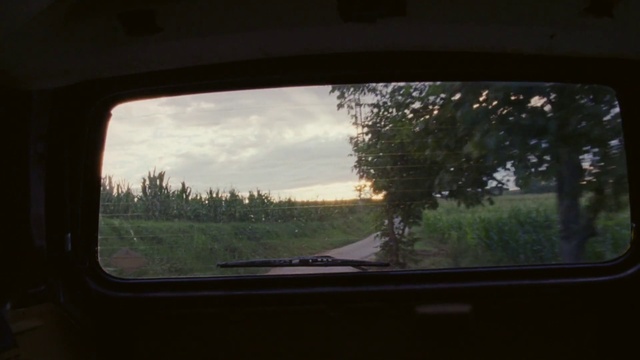 Video Reference: Plant, Sky, Cloud, Window, Automotive mirror, Motor vehicle, Automotive lighting, Automotive design, Rear-view mirror, Tree