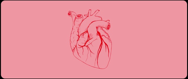 Video Reference: Eye, Gesture, Art, Pink, Font, Decapoda, Seafood, Arthropod, Painting, Magenta