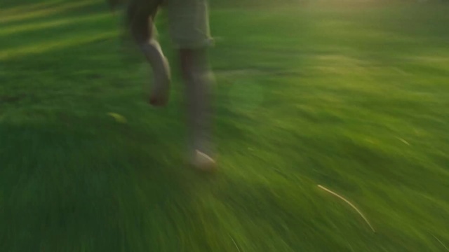 Video Reference: Green, Plant, People in nature, Wood, Grass, Asphalt, Flooring, Grassland, Tints and shades, Landscape