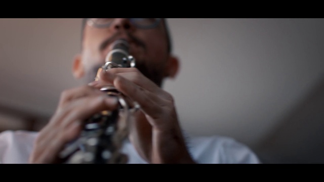 Video Reference: Musical instrument, Musician, Human body, Flash photography, Entertainment, Music, Music artist, Finger, Performing arts, Reed instrument
