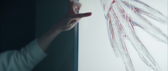 Video Reference: Lip, Hand, Eyebrow, Eye, Eyelash, Human body, Jaw, Neck, Gesture, Finger