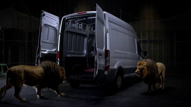 Video Reference: Wheel, Tire, Vehicle, Car, Motor vehicle, Dog, Automotive lighting, Working animal, Mode of transport, Automotive tire