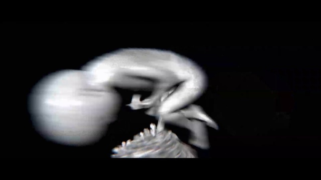 Video Reference: Human body, Flash photography, Jaw, Plant, Gesture, Eyelash, Bone, Font, Event, Audio equipment