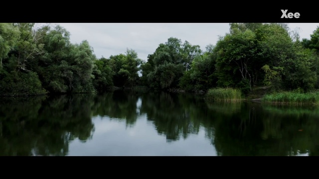 Video Reference: Water, Sky, Cloud, Natural landscape, Fluvial landforms of streams, Tree, Lake, Body of water, Bank, Lacustrine plain