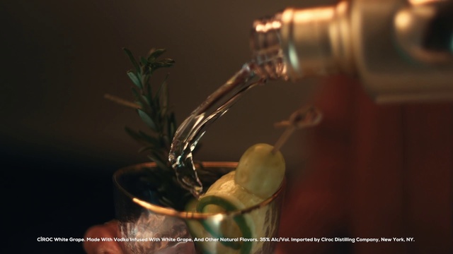 Video Reference: Plant, Audio equipment, Gas, Drinkware, Twig, Barware, Metal, Wood, Glass, Natural material