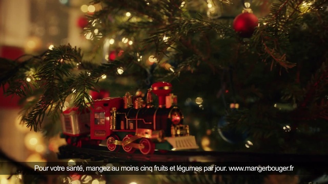 Video Reference: Christmas tree, Christmas ornament, Branch, Plant, Holiday ornament, Evergreen, Ornament, Tree, Christmas decoration, Wheel