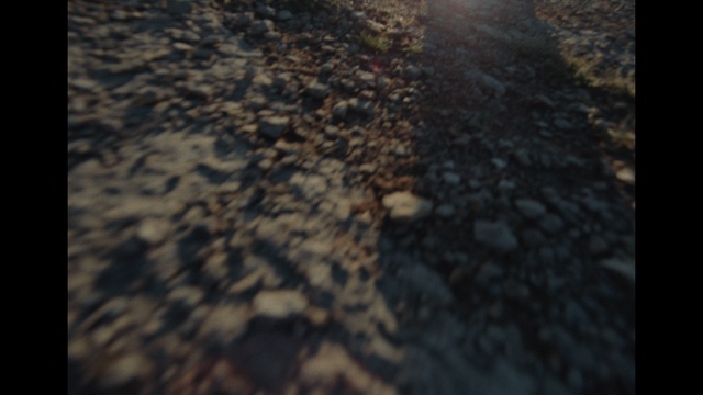 Video Reference: Road surface, Grass, Asphalt, Tints and shades, Wood, Natural landscape, Pattern, Landscape, Rectangle, Tar