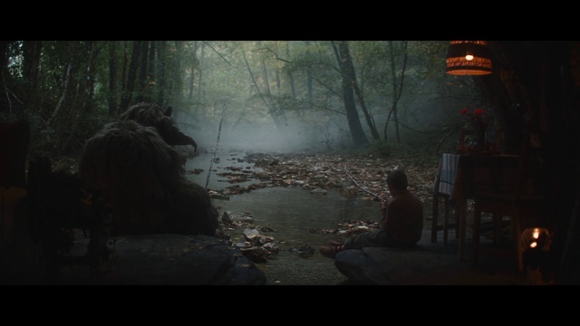 Video Reference: Atmosphere, Flash photography, Sunlight, Natural landscape, Tree, Tints and shades, Landscape, Midnight, Forest, Mist