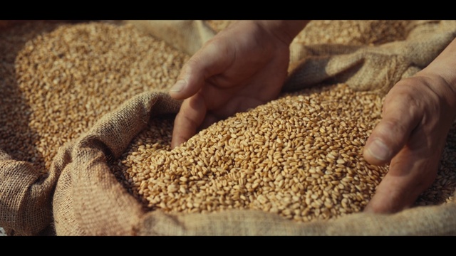 Video Reference: Plant, Food, Ingredient, Cuisine, Dish, Animal feed, Superfood, Soil, Seed, Produce