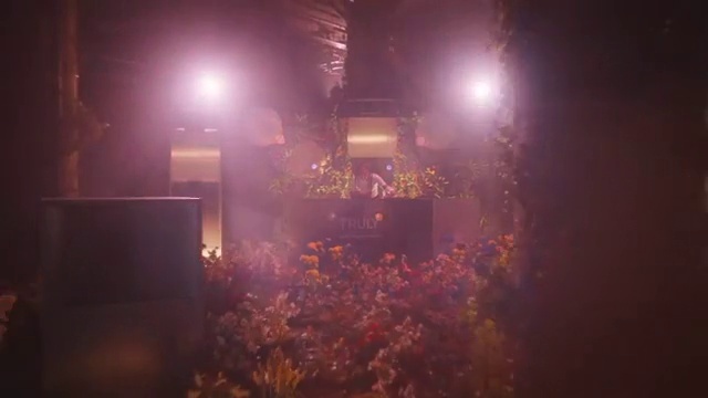 Video Reference: Atmosphere, Concert, Purple, Automotive lighting, Entertainment, Performing arts, Tree, Atmospheric phenomenon, Lens flare, Sky