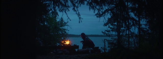 Video Reference: Sky, Water, Tree, Cloud, Plant, Body of water, Wood, Bonfire, Dusk, Fire