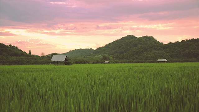 Video Reference: Cloud, Sky, Plant, Natural landscape, Mountain, Highland, Afterglow, Sunlight, Atmospheric phenomenon, Grass