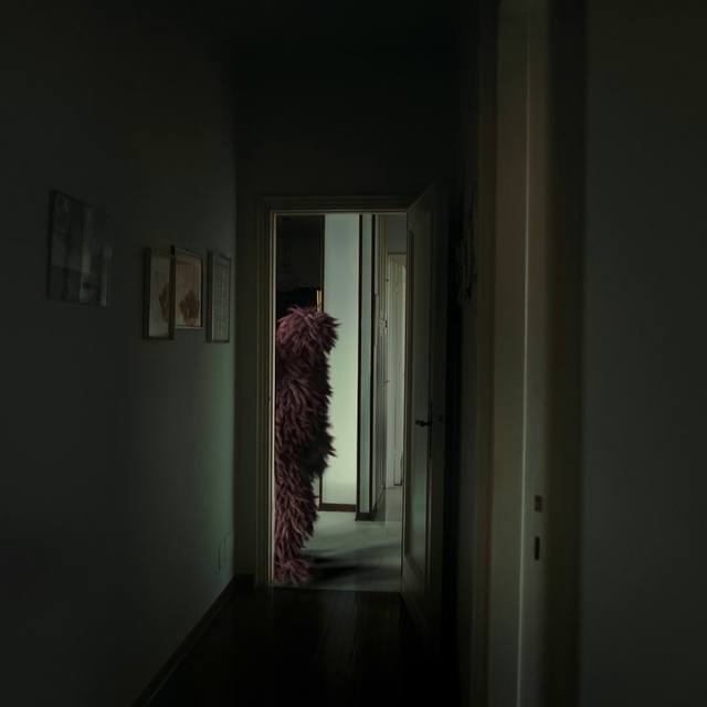 Video Reference: Wood, Fixture, Building, Flooring, Tints and shades, House, Hardwood, Door, Picture frame, Hall