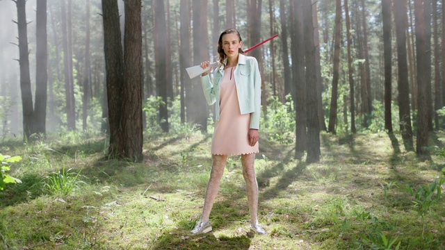 Video Reference: Plant, Tree, People in nature, Wood, Grass, Natural landscape, Fawn, Terrestrial plant, Fog, Forest