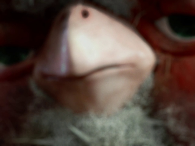 Video Reference: Nose, Mouth, Eyelash, Jaw, Fish, Snout, Whiskers, Close-up, Foot, Fur