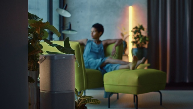 Video Reference: Plant, Comfort, Lighting, Curtain, Houseplant, Leisure, Flooring, Living room, Event, Room