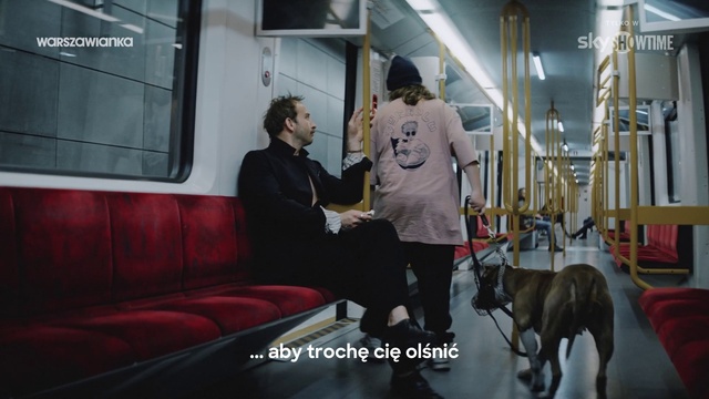 Video Reference: Dog, Carnivore, Dog breed, Working animal, Comfort, Companion dog, Snapshot, Public transport, Event, Rolling stock