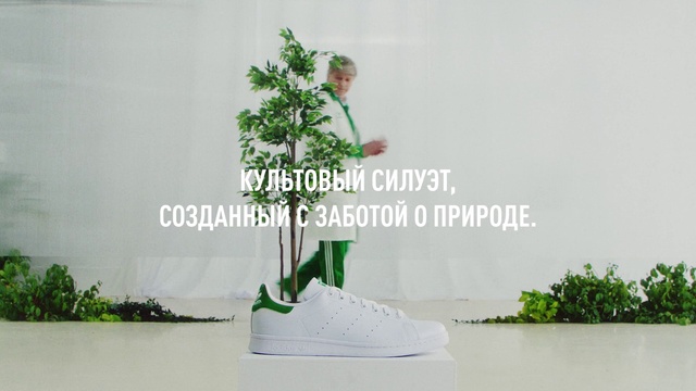 Video Reference: Plant, Organism, Flowerpot, Terrestrial plant, Font, Grass, Houseplant, Adaptation, Art, Grass family